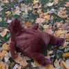 plsbearwithme